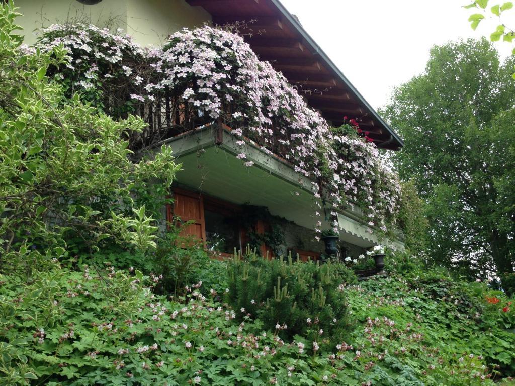 Il Giardino Dell'Artemisia Villa Pila  Exterior photo